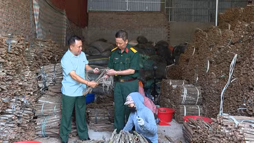 Doanh nhân cựu chiến binh Lào Cai vững vàng trên thương trường