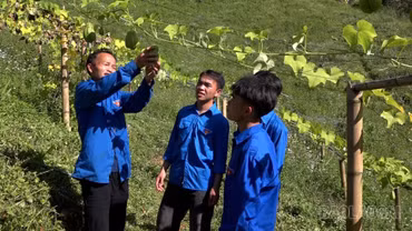 Sức trẻ ở Tà Xi Láng
