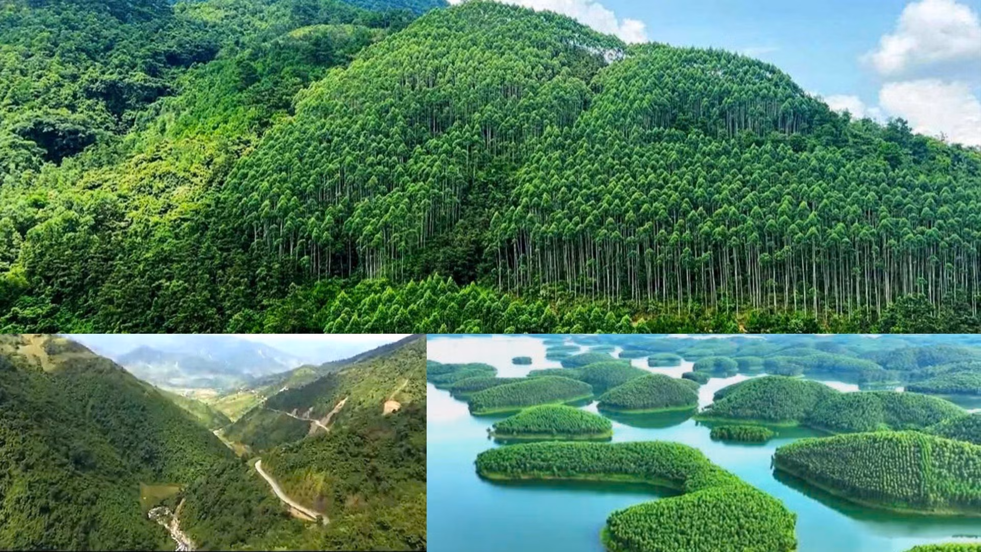 huong-2.png