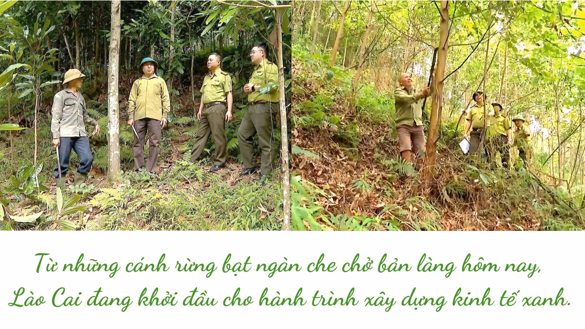 tu-nhung-canh-rung-bat-ngan-che-cho-ban-lang-hom-nay-lao-cai-dang-khoi-dau-cho-hanh-trinh-xay-dung-kinh-te-xanh.png