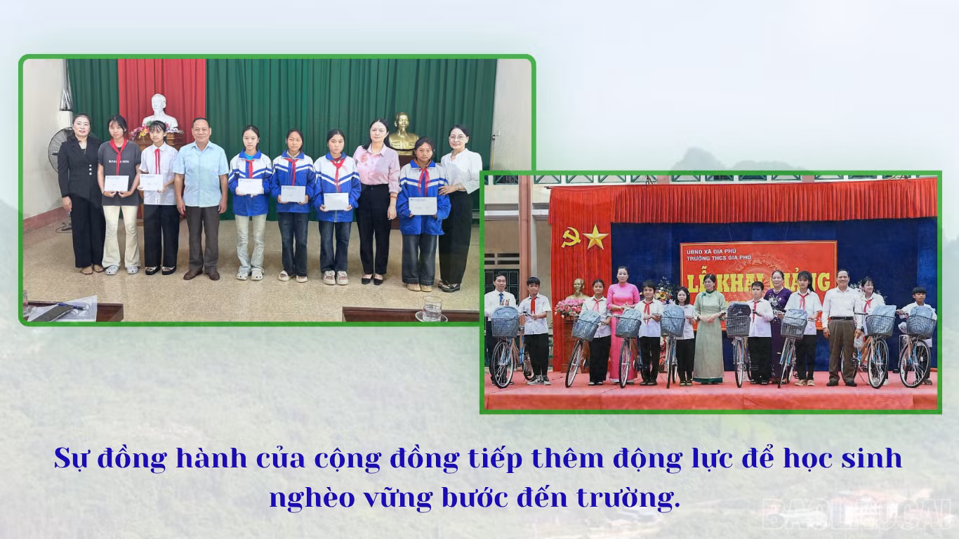 baolaocai-br_3-6772.png