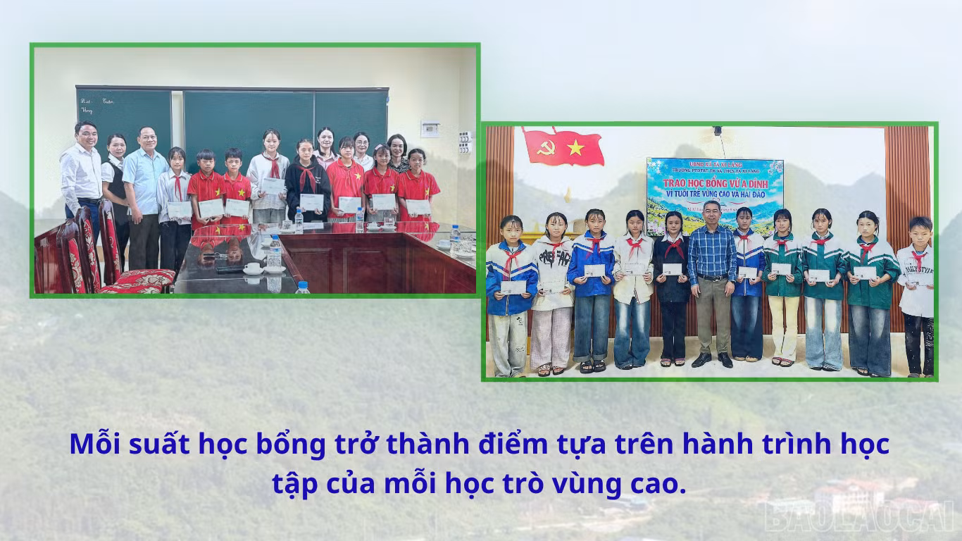 baolaocai-br_4-4633.png